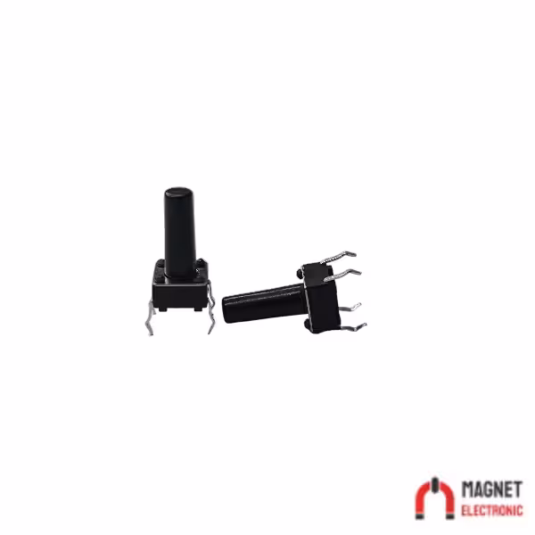 تک سوئیچ دو پین 13*6*6