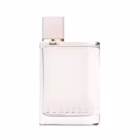 عطر باربری هر ادوپرفیوم زنانه 100 میل