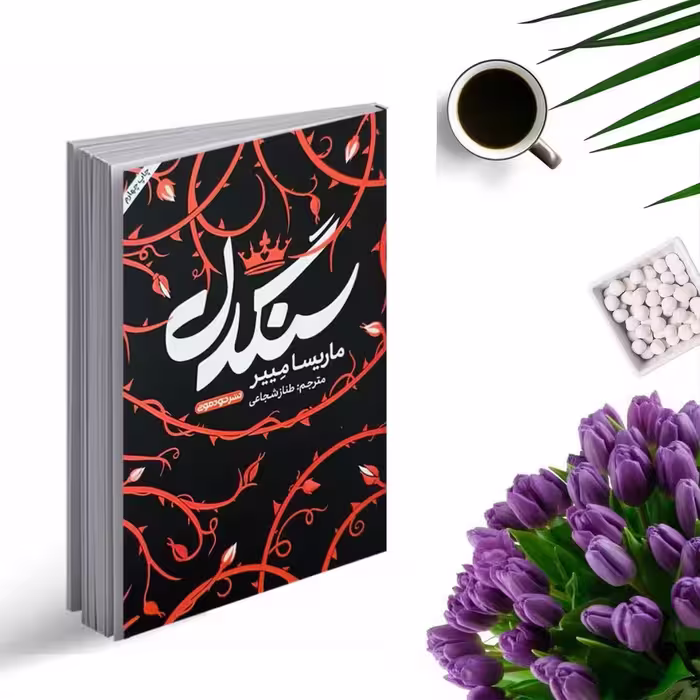 کتاب سنگدل اثر ماریسا مییر انتشارات خودمونی