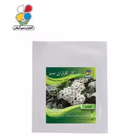 بذر گل عروس بسته بندی بزرگ ( بسته 24 عددی )