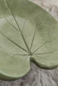 ظرف سرامیکی