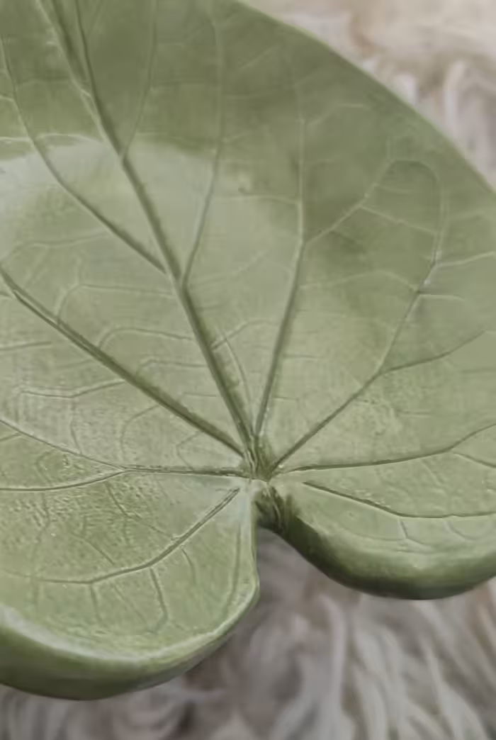 ظرف سرامیکی