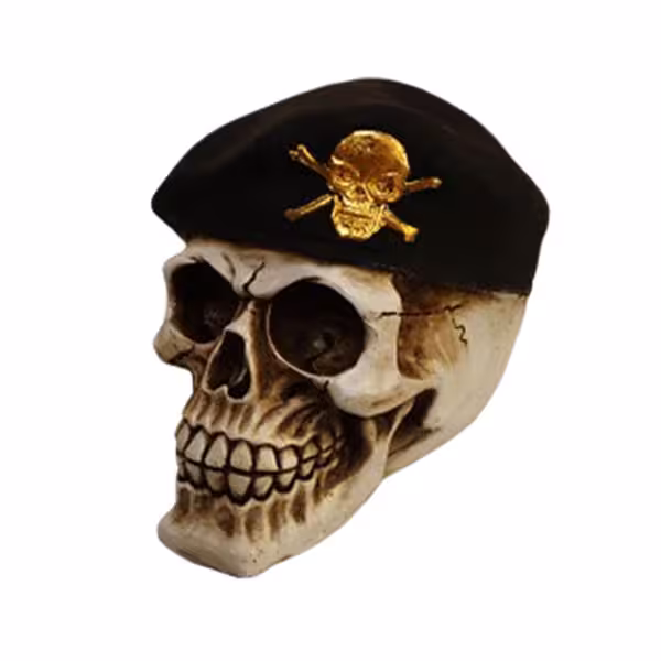 مجسمه مدل جمجمه اسکلت کد 2