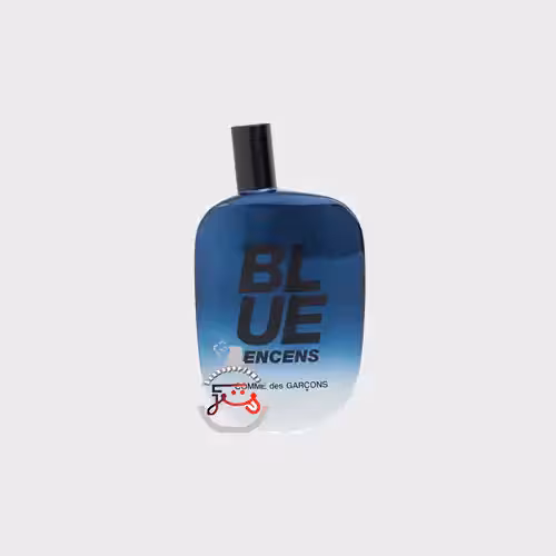 عطر ادکلن کام دی گارکونس بلو انسنس | comme des garcons  blue encens