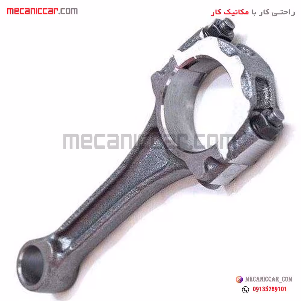 شاتون تیبا و ساینا