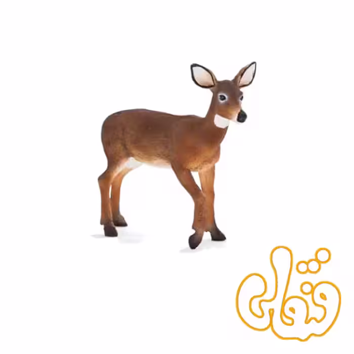 گوزن ماده دم سفید White Tailed Doe 387185