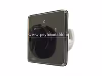 کلید سلکتور (گردان) دو فاز ، یکطرفه ، 40 آمپر ، TRS
