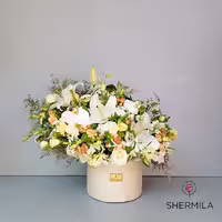 باکس گل نغمه