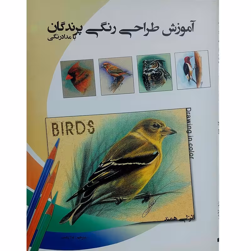 آموزش طراحی رنگی پرندگان با مداد رنگی