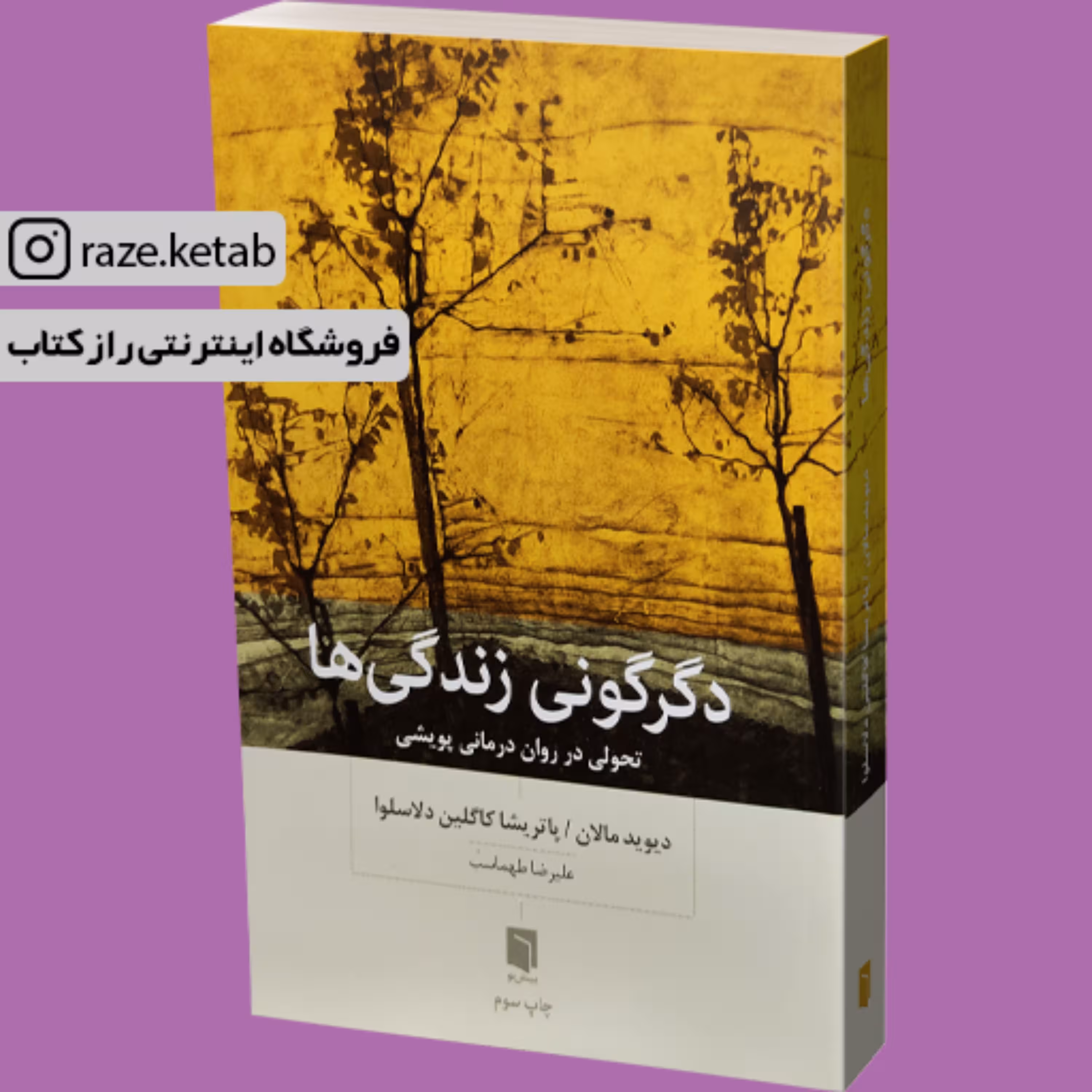کتاب دگرگونی زندگی ها (دیوید مالان.پاتریشیا کاولین دلاسلوا) (انتشارات بینش نو)