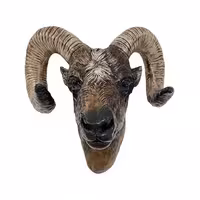 مجسمه مدل دیواری طرح سر قوچ کد 170