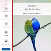 برچسب پوششی ماهوت مدل Lovebird-FullSkin مناسب برای گوشی موبایل هوآوی Mate 10 Lite