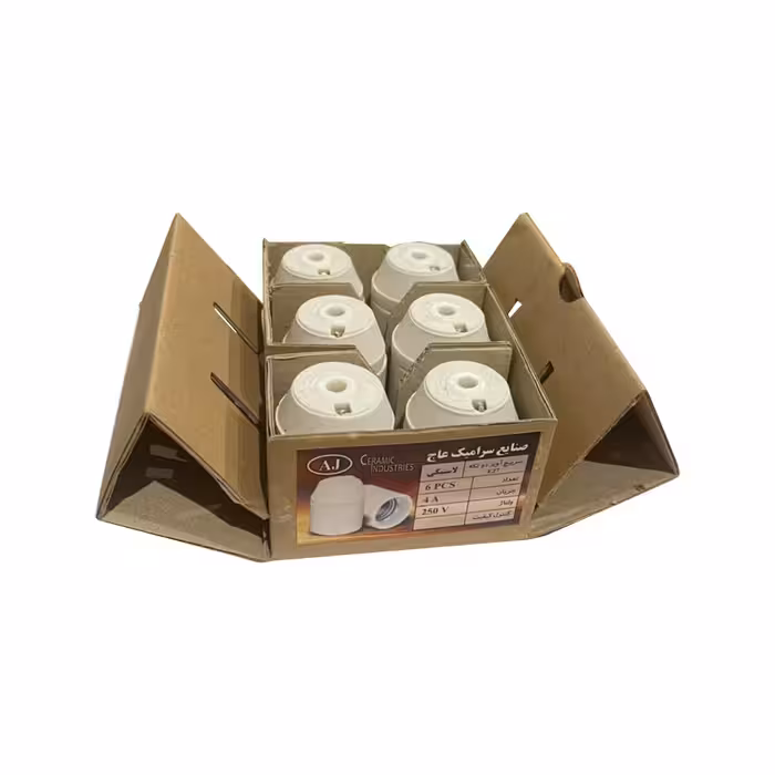 سرپیچ لامپ صنایع سرامیک عاج مدل PRO بسته 6 عددی