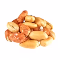 بادام زمینی بدون پوست آستانه درجه یک فله