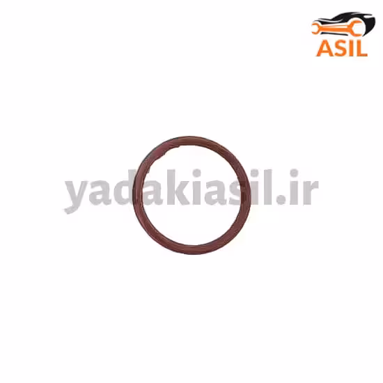 اورینگ منیفولد 206 تیپT2