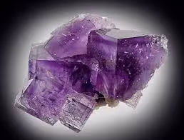 دانلود فایل بررسي كانيها