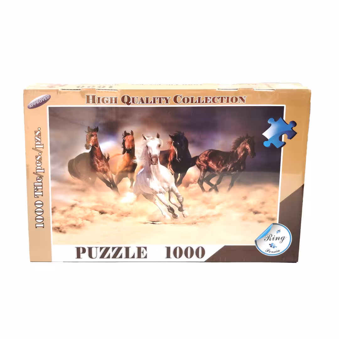 پازل 1000 تکه جعبه ای کد 0372 رینگ
