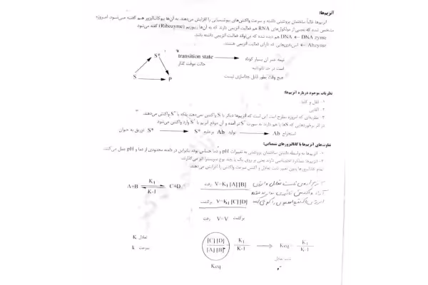 آنزیم ها(جزوه) 🔬 - کتابخانه مجازی واتیکان