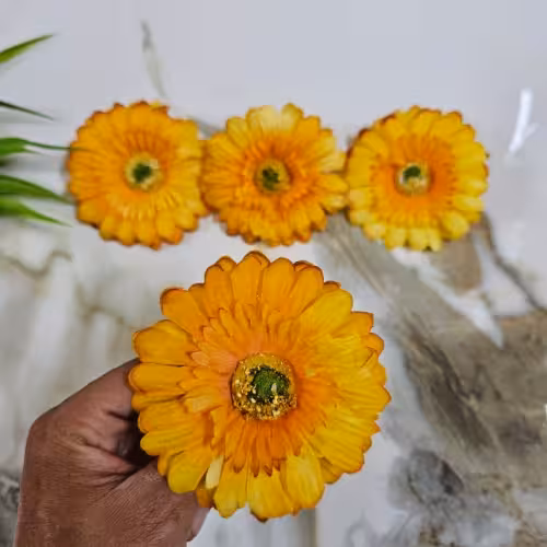 سرگل ژرویرا زرد مصنوعی پک 10عددی