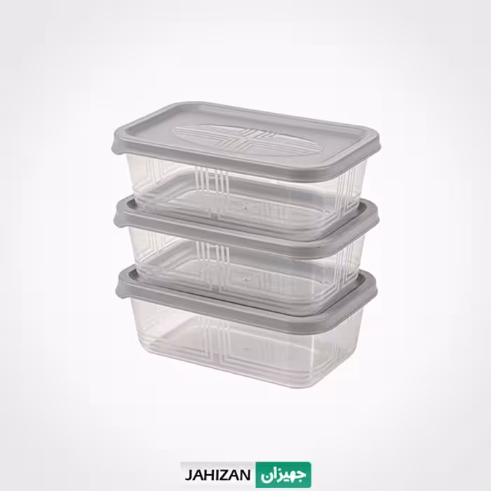 ظرف مستطیل 3عددی لیمون کد2405 (550 میلی لیتر)