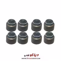 لاستیک ساق سوپاپ تیگو 5