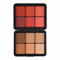 پالت رژگونه و کانتور خشک فیوچر میکاپ FU106