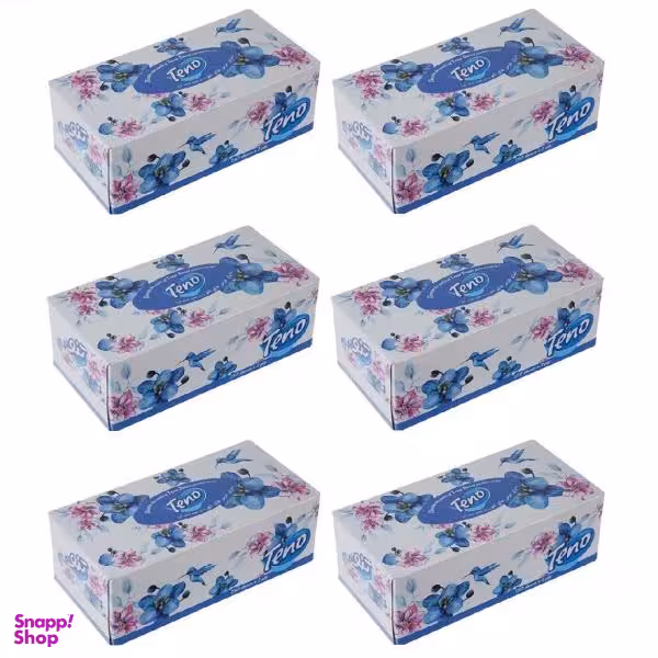 دستمال کاغذی 150 برگ تنو مدل بهشت بسته 6 عددی