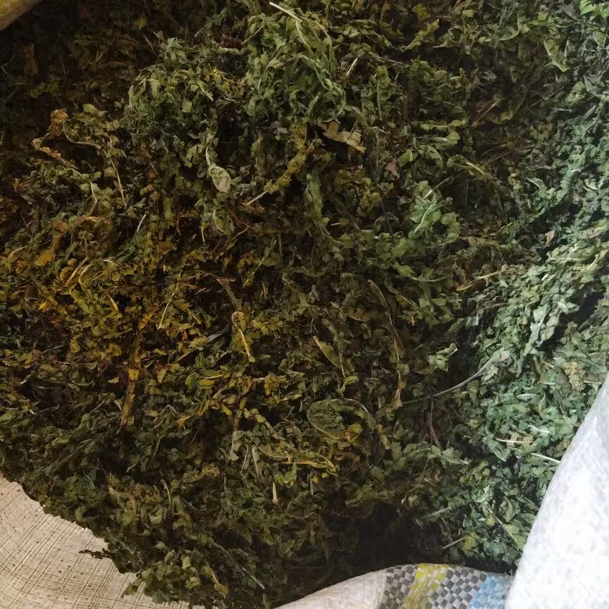 پر سیاوشان ایرانی 200گرمی