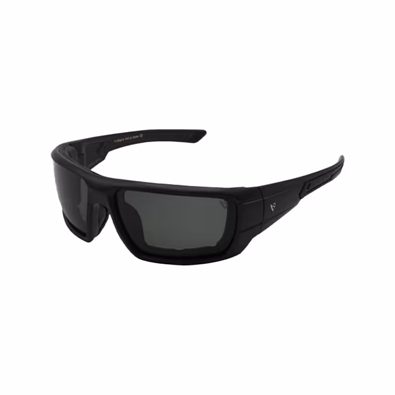 عینک وینتی Diligent 300