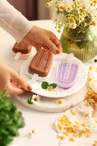 بستنی ساز سیلیکونی