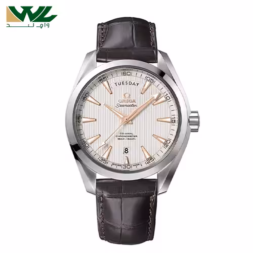 ساعت امگا 231.13.42.22.02.001