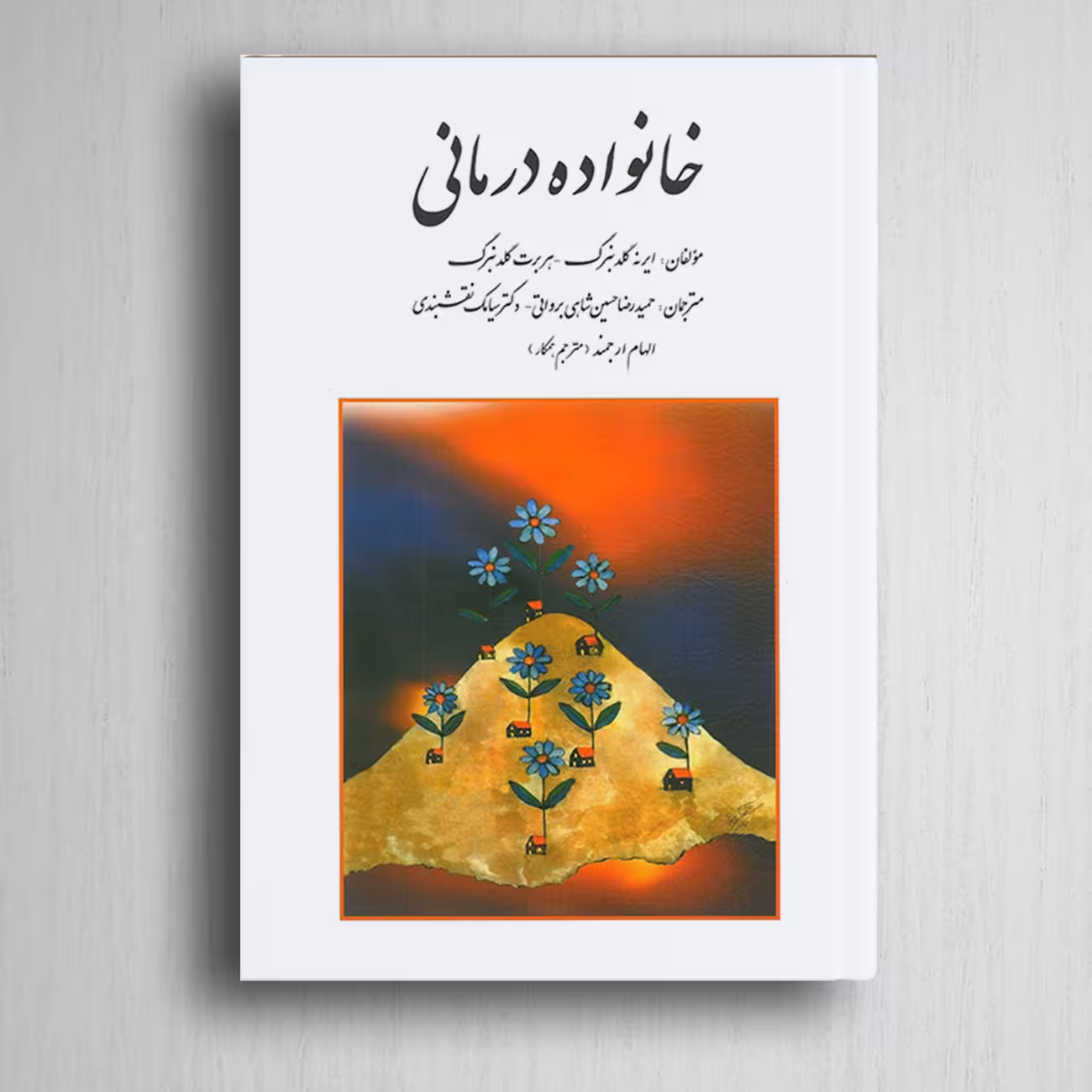 کتاب خانواده درمانی گلدنبرگ ترجمه سیامک نقش بندی و حمیدرضا شاهی