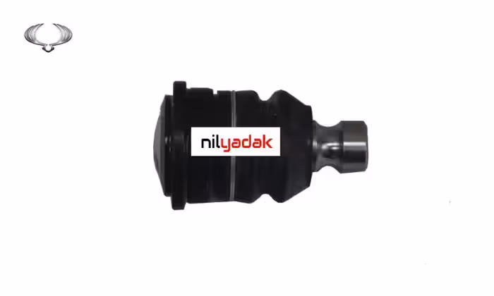 سیبک طبق جلو سانگ یانگ تیوولی