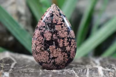 نبولا جاسپر