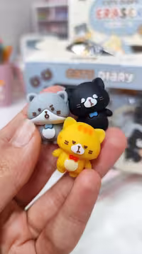 پاکن گربه 3عددی