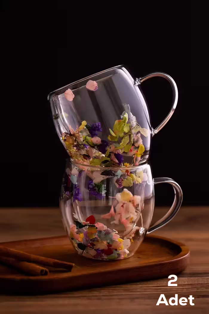 فنجان چای و قهوه شیشه‌ای دو جداره با دسته عایق حرارتی 2 عددی 250 میلی‌لیتر - 10326