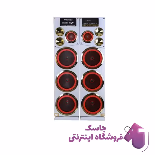 اسپیکر دیجی رقص نوردار مکسیدر مدل MX-TS3102 IRL112