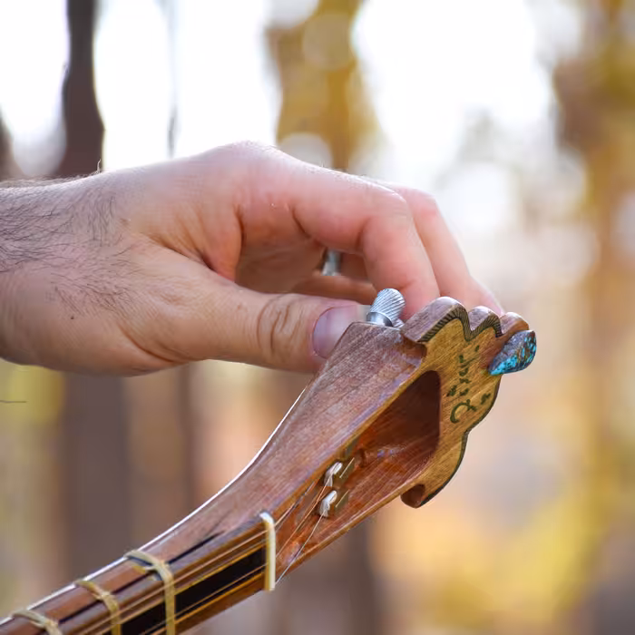 سه تار ایران ساز مدل شمع و پروانه