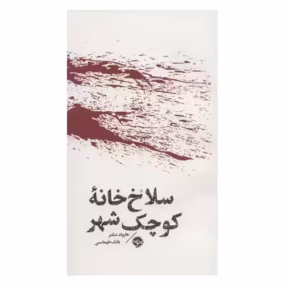 کتاب سلاخ خانه کوچک شهر اثر هارولدشکتر نشر خوب