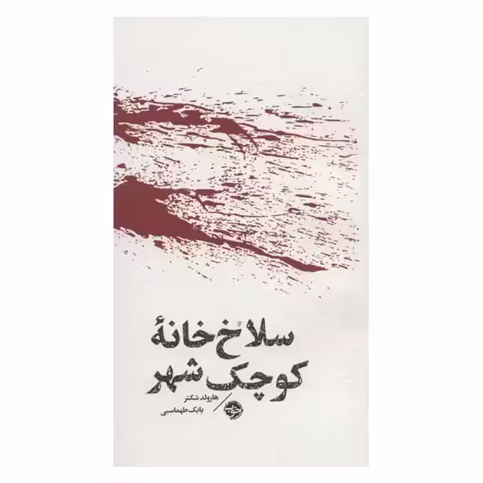 کتاب سلاخ خانه کوچک شهر اثر هارولدشکتر نشر خوب