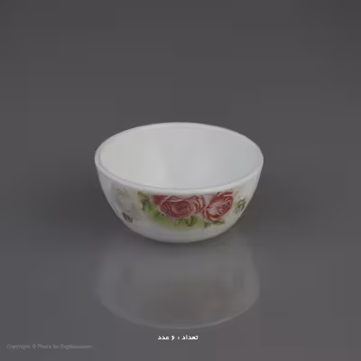 سرویس غذا خوری 25 پارچه آیروپال طرح گرد مدل کازالیکا