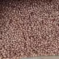 لوبیا چیتی درشت  سایز 8 (یک کیلو)