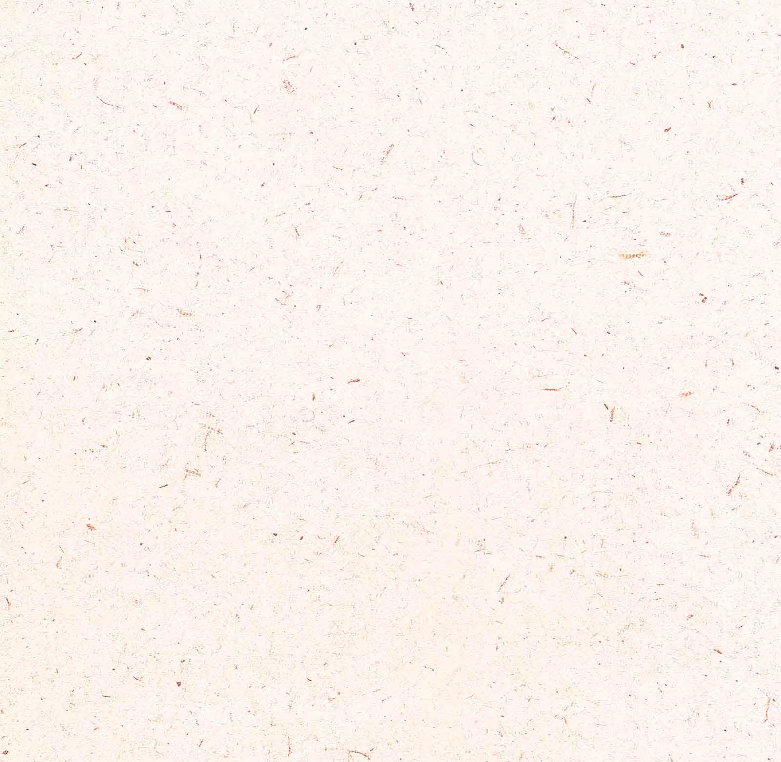 کاغذ خوشنویسی ابروباد چاپی سایز 50*35 کد(810) - بسته 5 برگی