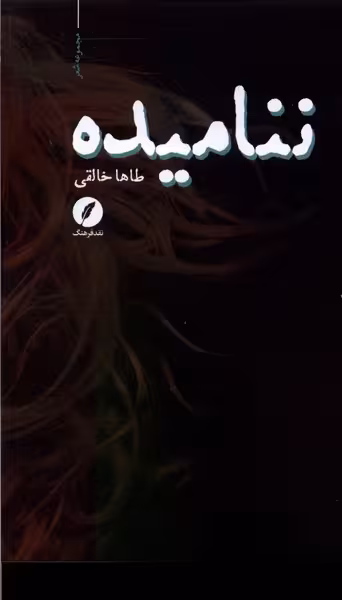 کتاب ننامیده نقدفرهنگ اثر طاها خالقی