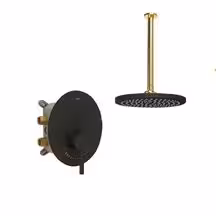 شیر حمام توکار شودر مدل روگن تیپ 1 BRASS مشکی طلا