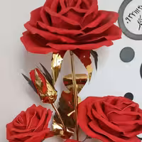 5شاخه یک رنگ 