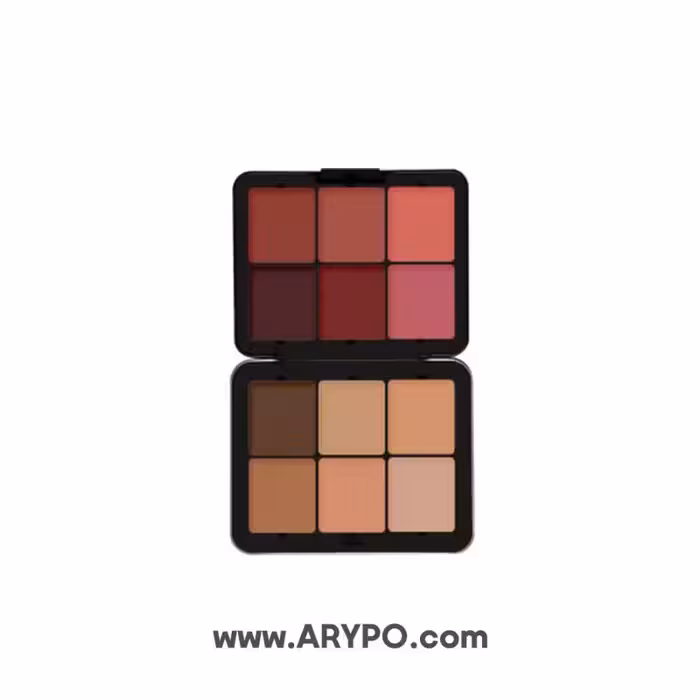 پالت کانتور و رژگونه فیوچر میکاپ