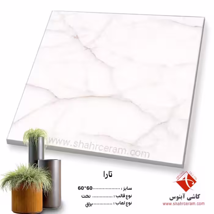 سرامیک تارا 60*60 کاشی آبنوس