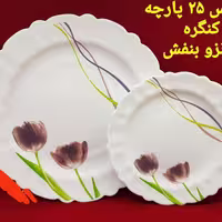 سرویس آیروپال طرح لورنزو (رنگ بنفش)