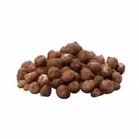 مغز فندوق خام با پوست (500گرمی )